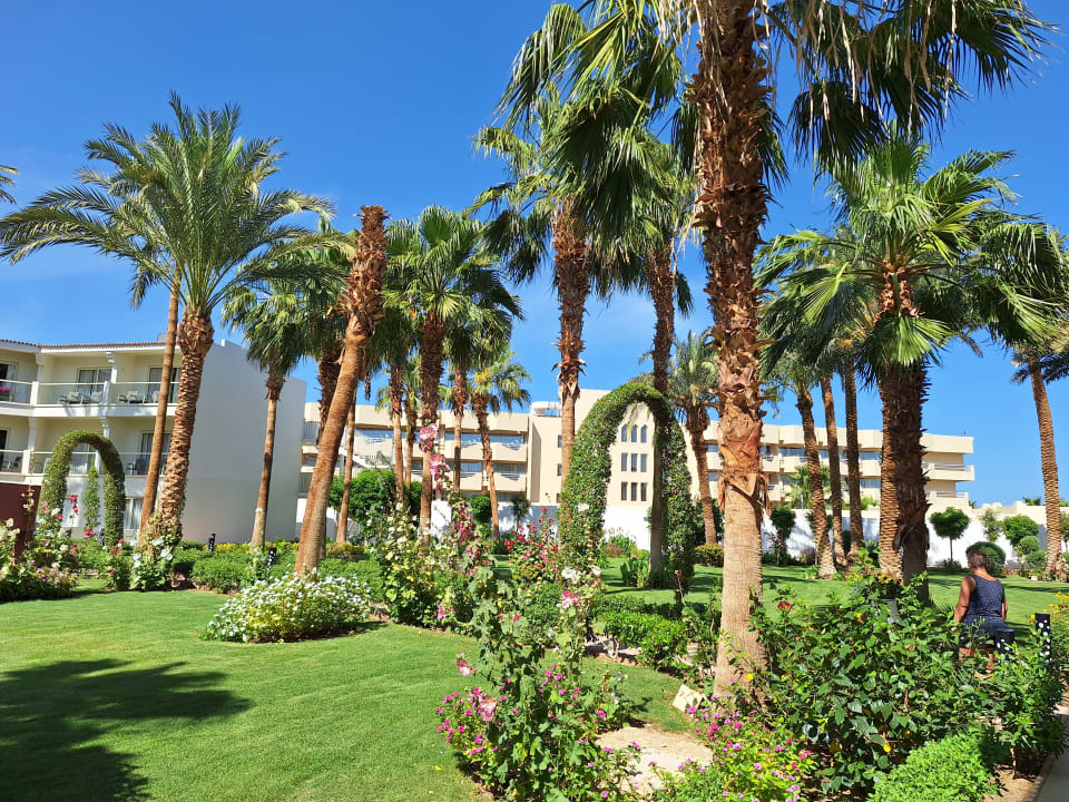 Gartenanlage Amarina Abu Soma Resort & Aquapark