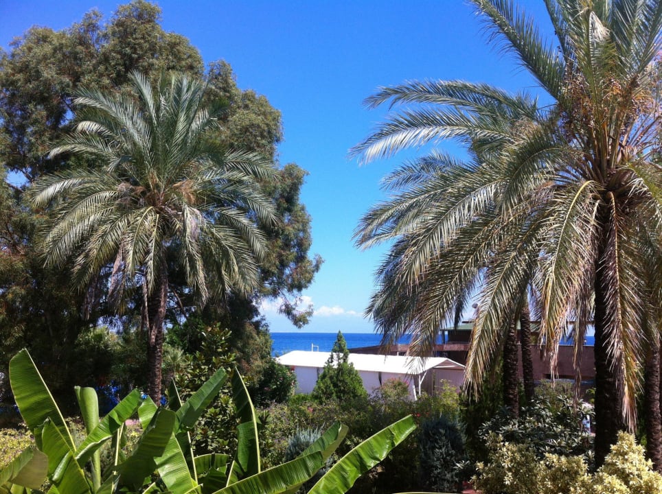 Ausblick Terrasse Armas Gül Beach