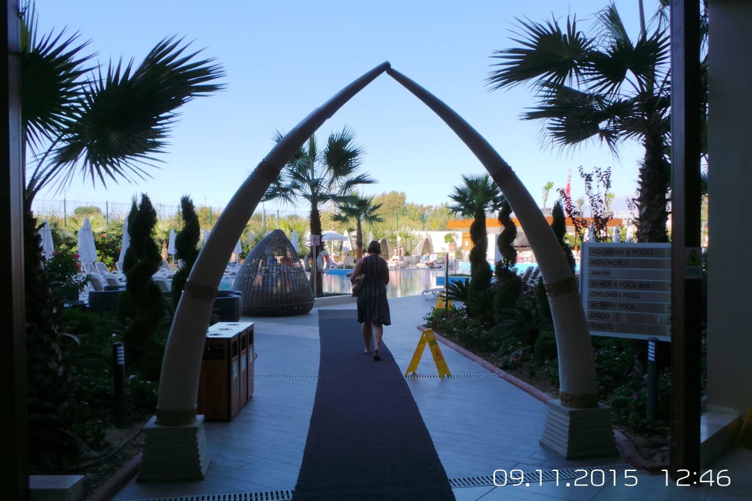 Zugang vom Haus zum Garten Dream World Aqua Hotel