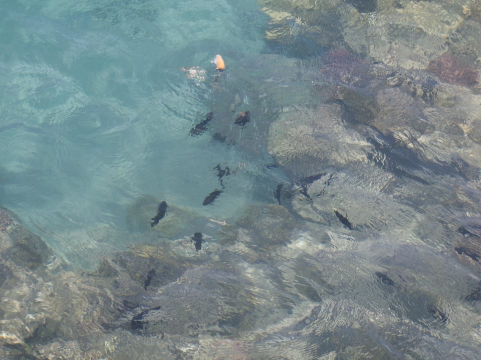 Rafa Hotel Titanic Palace