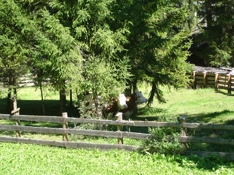 Sonstiges Bauernhof Planhof