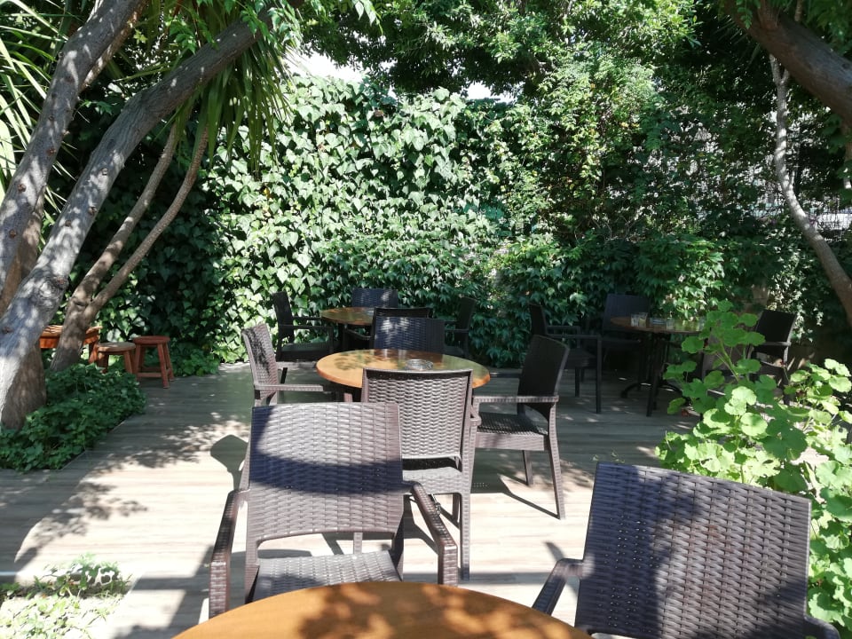 Gastro Telatiye Resort