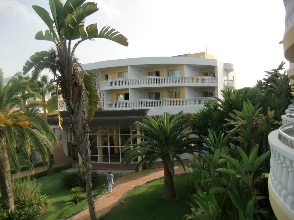 Blick vom Balkon Iberostar Selection Albufera Park