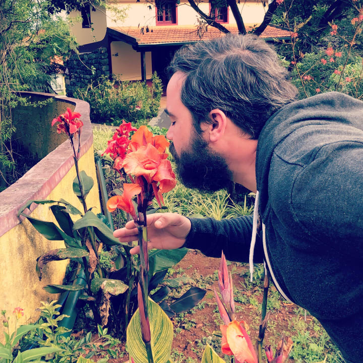 Gartenanlage Pestana Quinta do Arco