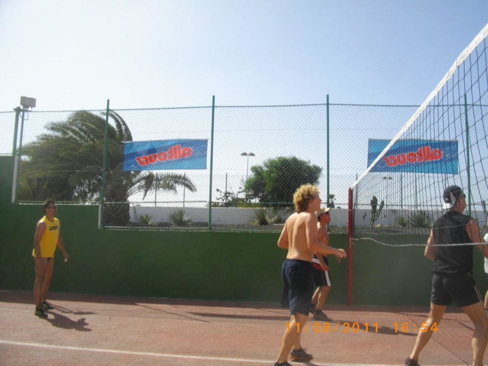 Volleyball allsun App.-Hotel Albatros