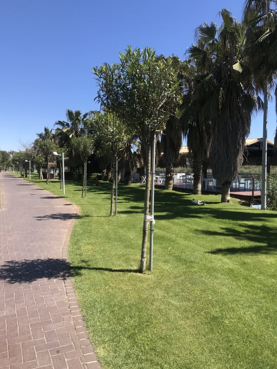 Gartenanlage Gloria Serenity Resort