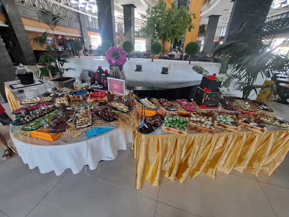 Gastro Seashell Vega