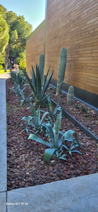 Gartenanlage Voyage Belek Golf & Spa