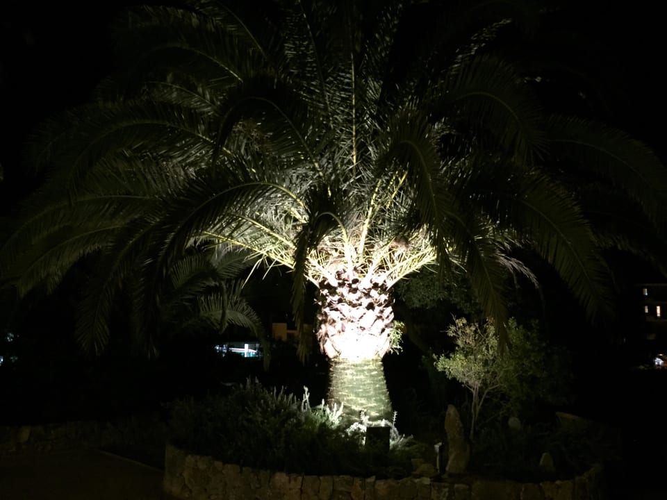 Anlage Hotel Es Port