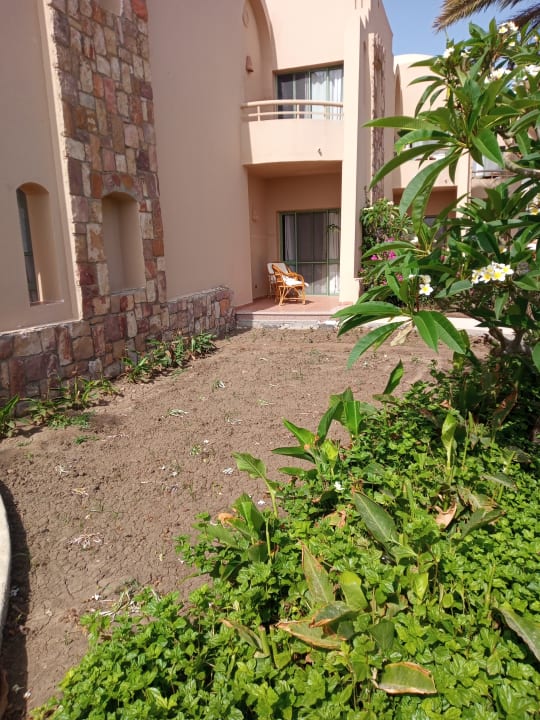 Gartenanlage Shams Alam Beach Resort