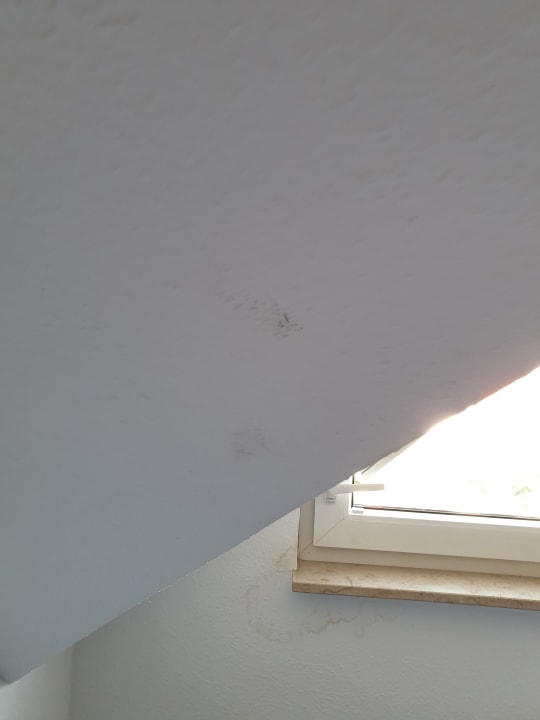 Zimmer Hotel Leo Mühlhausen