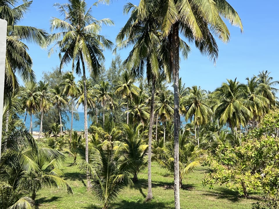 Gartenanlage The Sands Khao Lak by Katathani