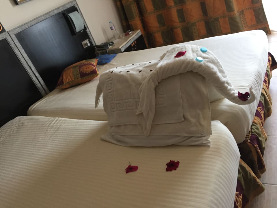 Zimmer Pickalbatros Royal Moderna Resort-Sharm El Sheikh