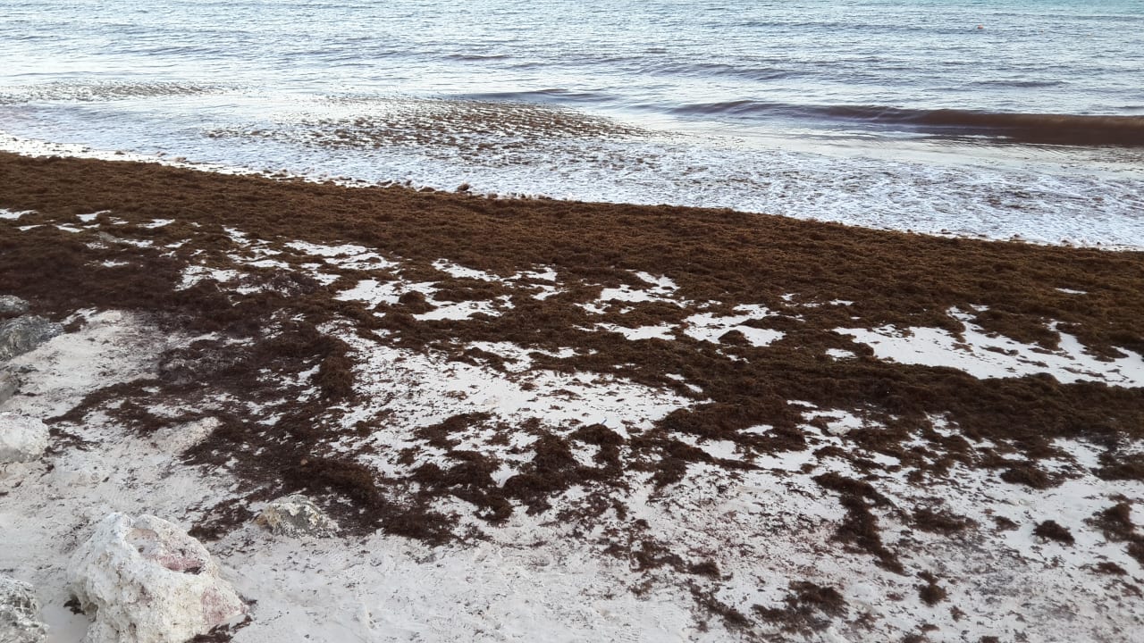 Strand Sea Breeze Beach House - All Inclusive