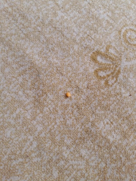 Dreck Asteria Collection Side