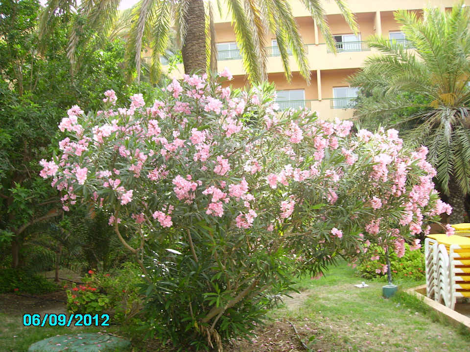 Blick zum Hotel El Ksar Resort & Thalasso