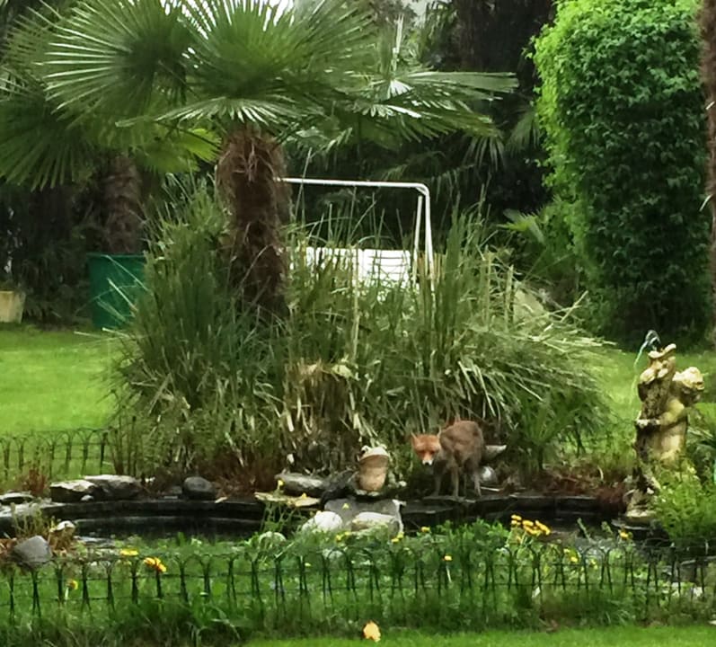 Gartenanlage Hotel Luna