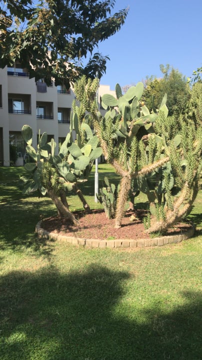 Gartenanlage Labranda Alantur Resort