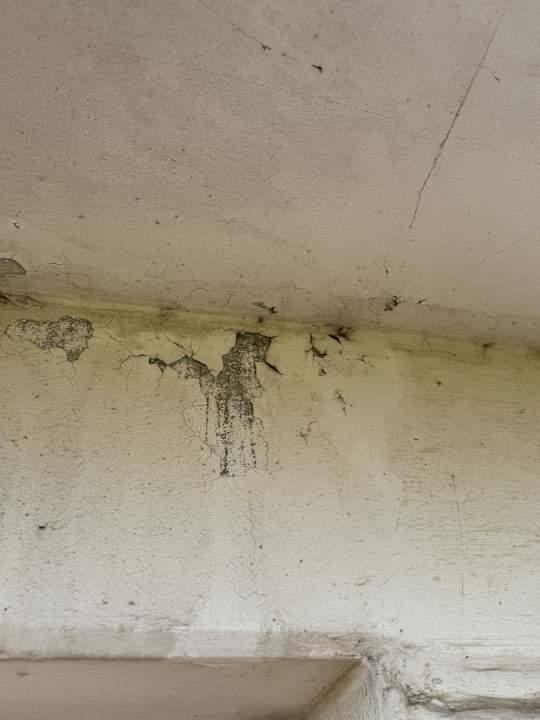 Zimmer PLAZA Premium Timmendorfer Strand