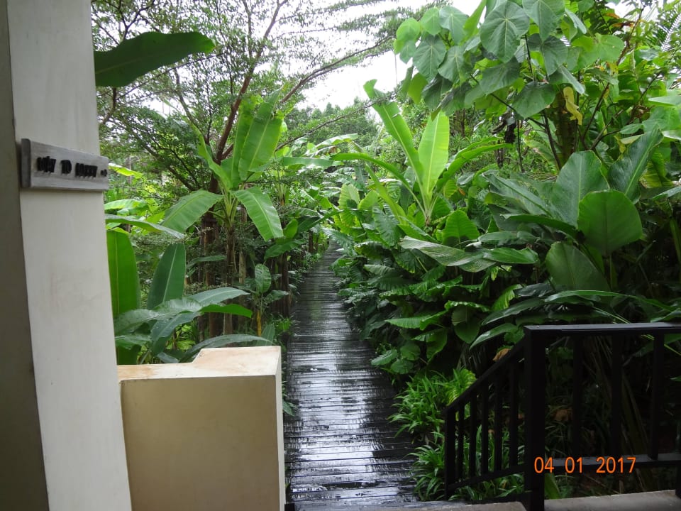 Weg zur Lobby Bangsak Village