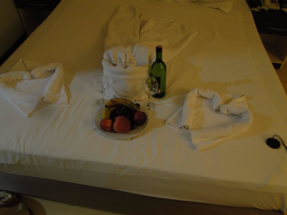 Danke für alles Hotel Orfeus Park