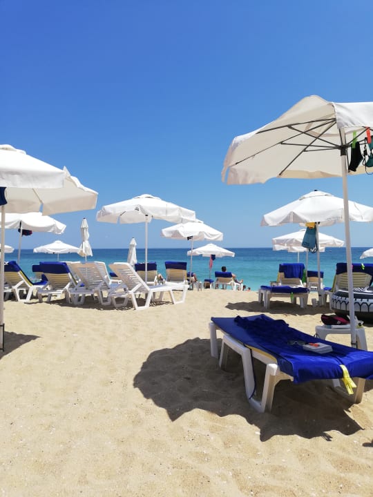 Strand Sentido Marea