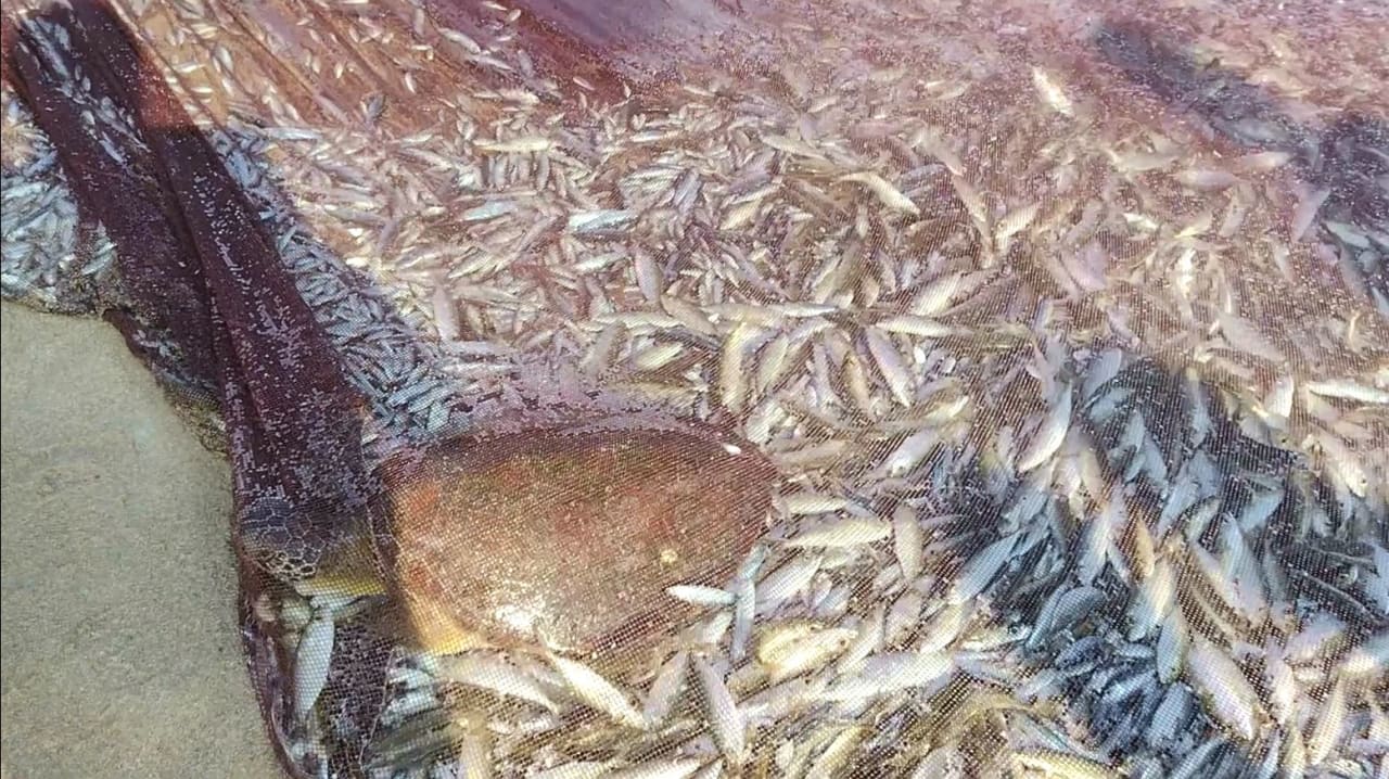 Strand Miramar Al Aqah Beach Resort