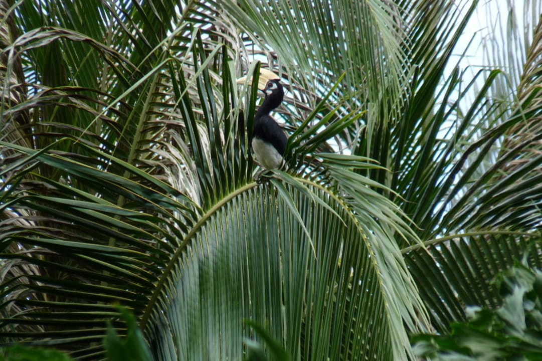 Blick vom Balkon Koh Hai Fantasy Resort & Spa