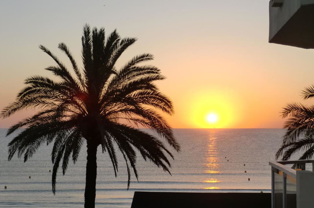 Sonnenaufgang von C 305 Grupotel Alcudia Pins