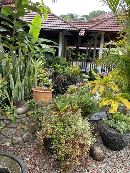 Gartenanlage Hotel Le Duc de Praslin