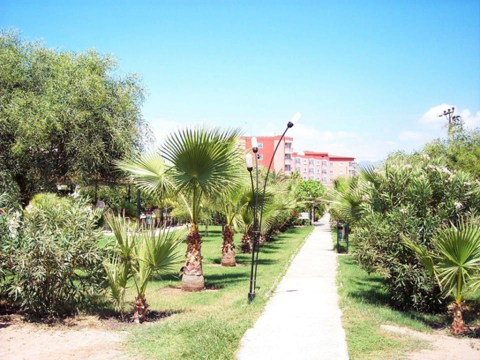 Anlage Hotel Royal Garden Beach