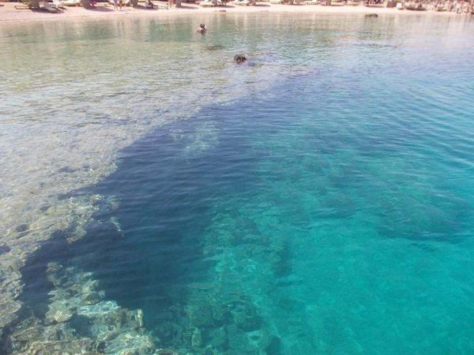 Море просто супер Pickalbatros Citadel Resort