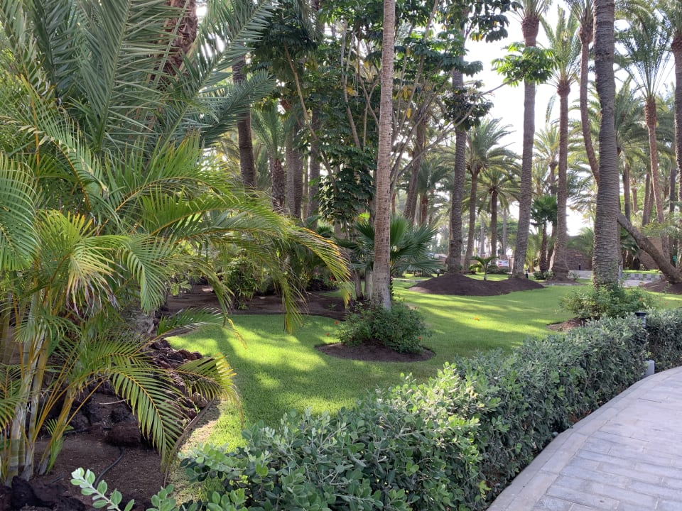 Gartenanlage Hotel Riu Palace Oasis