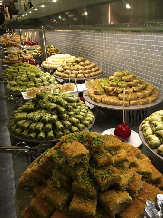 Gastro Royal Seginus