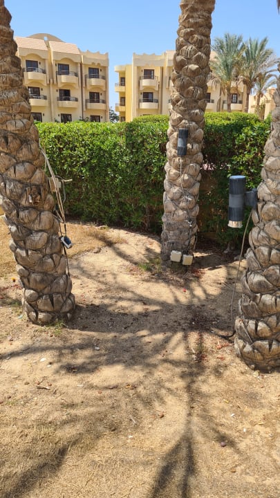 Gartenanlage Coral Hills Resorts & SPA