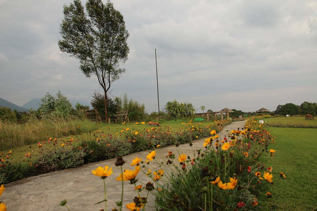 Sehr gepflegt Gorilla Montain View Lodge
