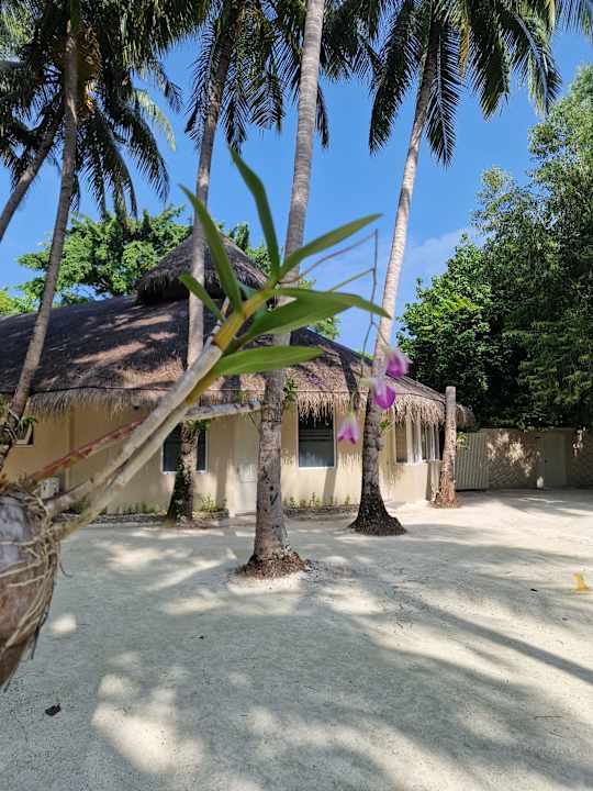 Gartenanlage Ellaidhoo Maldives by Cinnamon