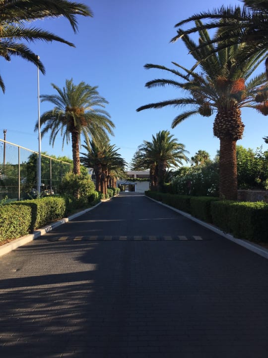 Sonstiges Phãea Cretan Malia