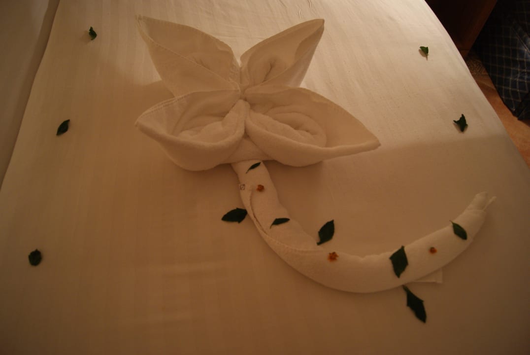 Вот так нас развлекали Old Palace Resort Sahl Hasheesh