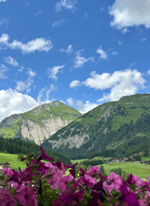 Ausblick Gamsalm
