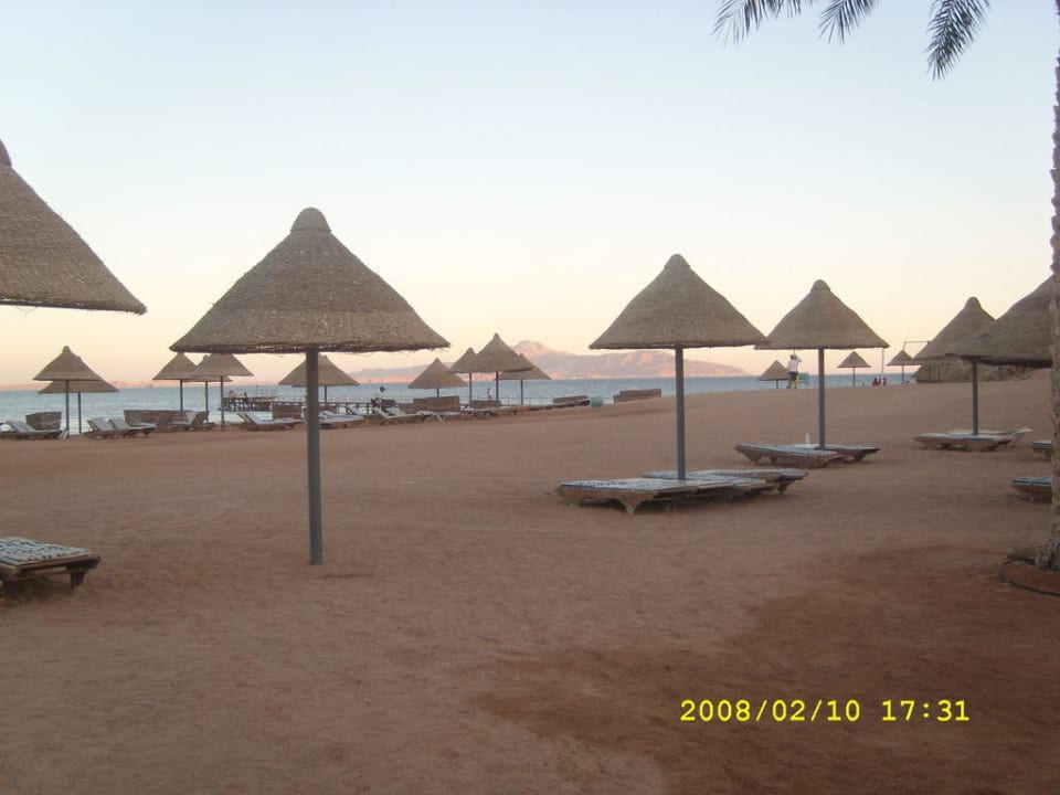 Plaża Parrotel Beach Resort