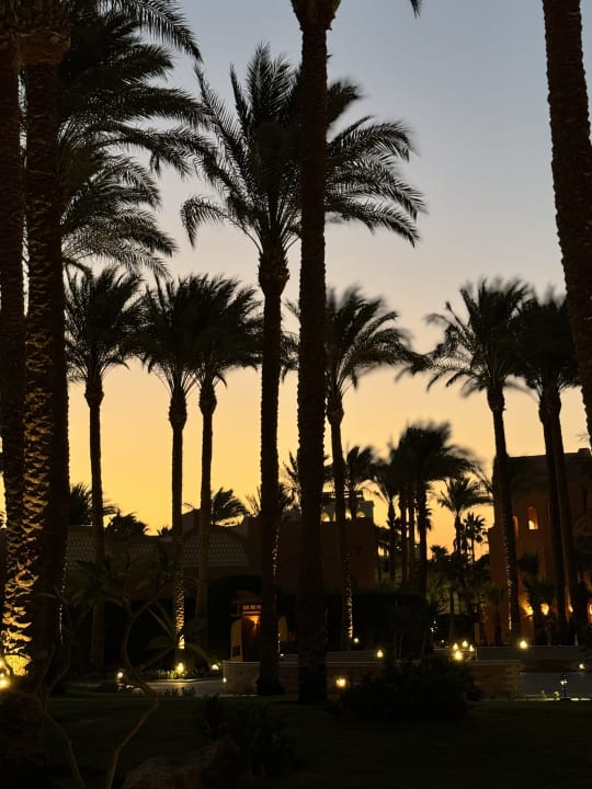 Ausblick Jaz Makadi Oasis Resort