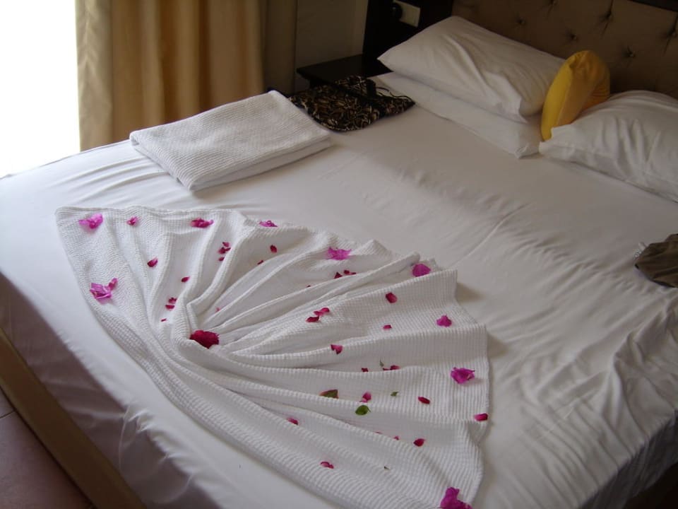 Blumendeko  Selectum Family Comfort Side