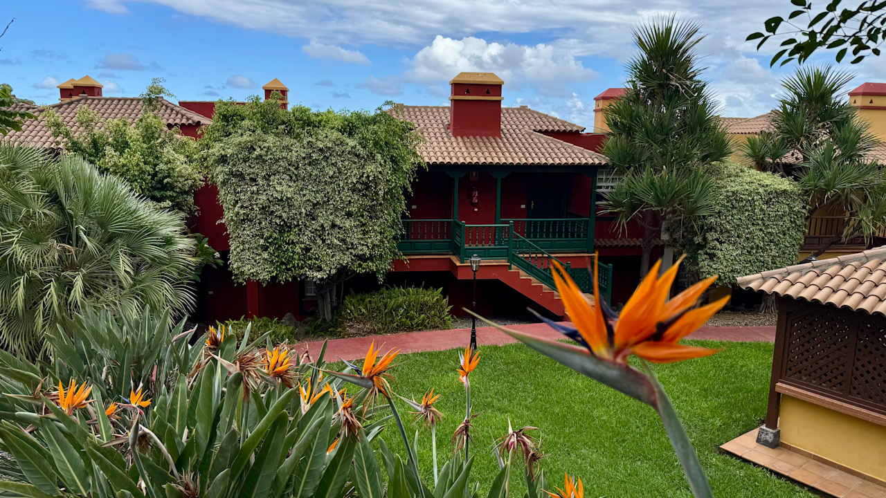 Zimmer Apartamentos Oasis San Antonio