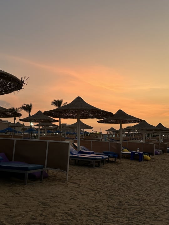Strand Pickalbatros Sea World Resort - Marsa Alam