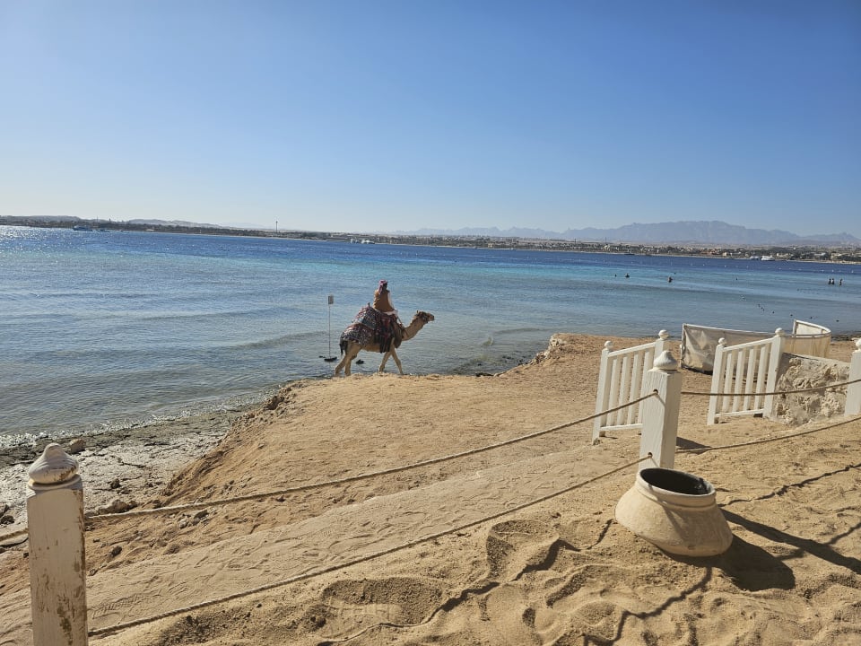 Strand Makadi Spa - Adults only