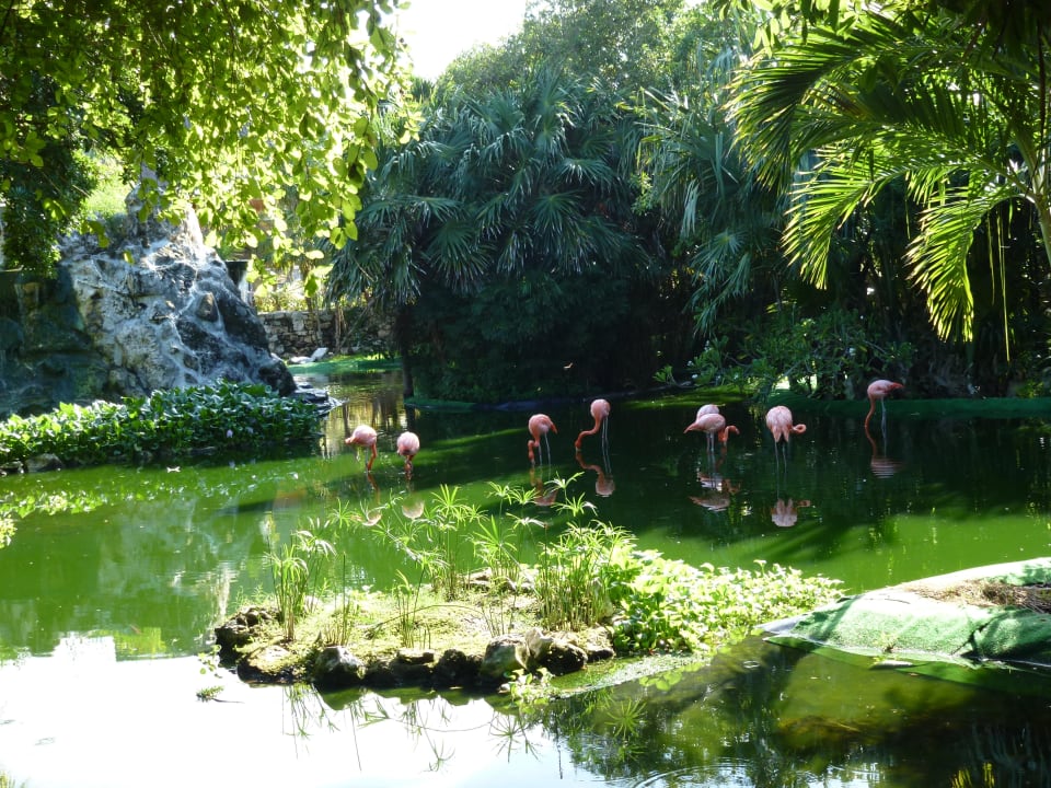 Teich Grand Palladium Kantenah Resort & Spa