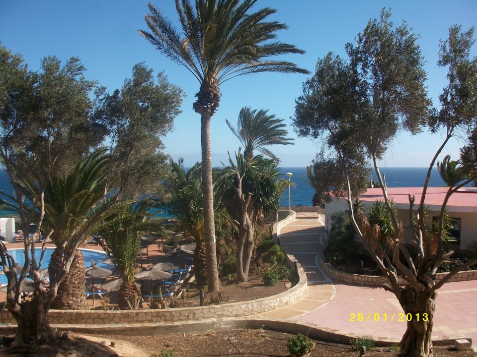 Aussicht aus Zimmer 410 SBH Club Paraiso Playa
