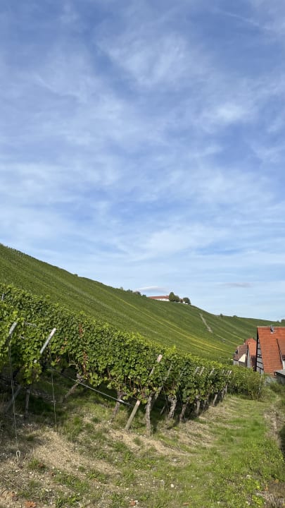 Außenansicht Vogelsburg