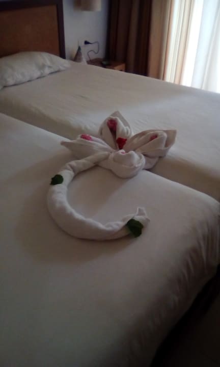 Zimmer Sentido Djerba Beach